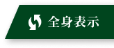全身表示